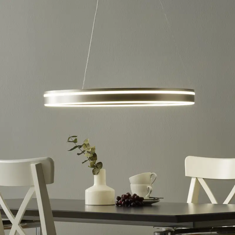 Begränsat antal Paul Neuhaus Q-VITO LED-hänglampa 59 cm stål